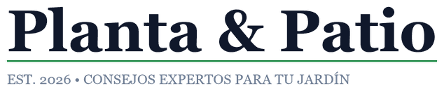 Plantaypatio